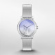 Watch DKNY STAINLESS STEEL NY6652