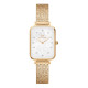 Comprar Reloj Daniel Wellington QUADRO LUMINE DW00100582 