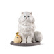 "Lladró Persian Cat Porcelana 01009688 - Elegância e Detalhes Artes