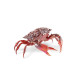 Crab Lladro Porcelain 01009694 - TicTacArea.com