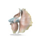 Poisson Betta (droite) Lladró Porcelaine 01009700  