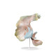 Poisson Betta (gauche) Lladró Porcelaine 01009701  