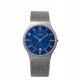 Skagen 233XLTTN ремешок для часы Skagen KLASSIC 233XLTTN