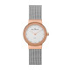 Skagen 358SRSC Bracelet pour Montre Skagen KLASSIC 358SRSC