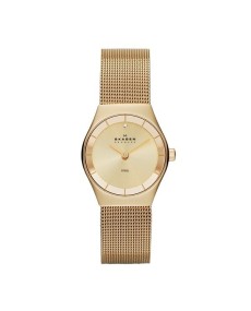 Skagen SKW2045 Cinturino da Orologio Skagen KLASSIC SKW2045