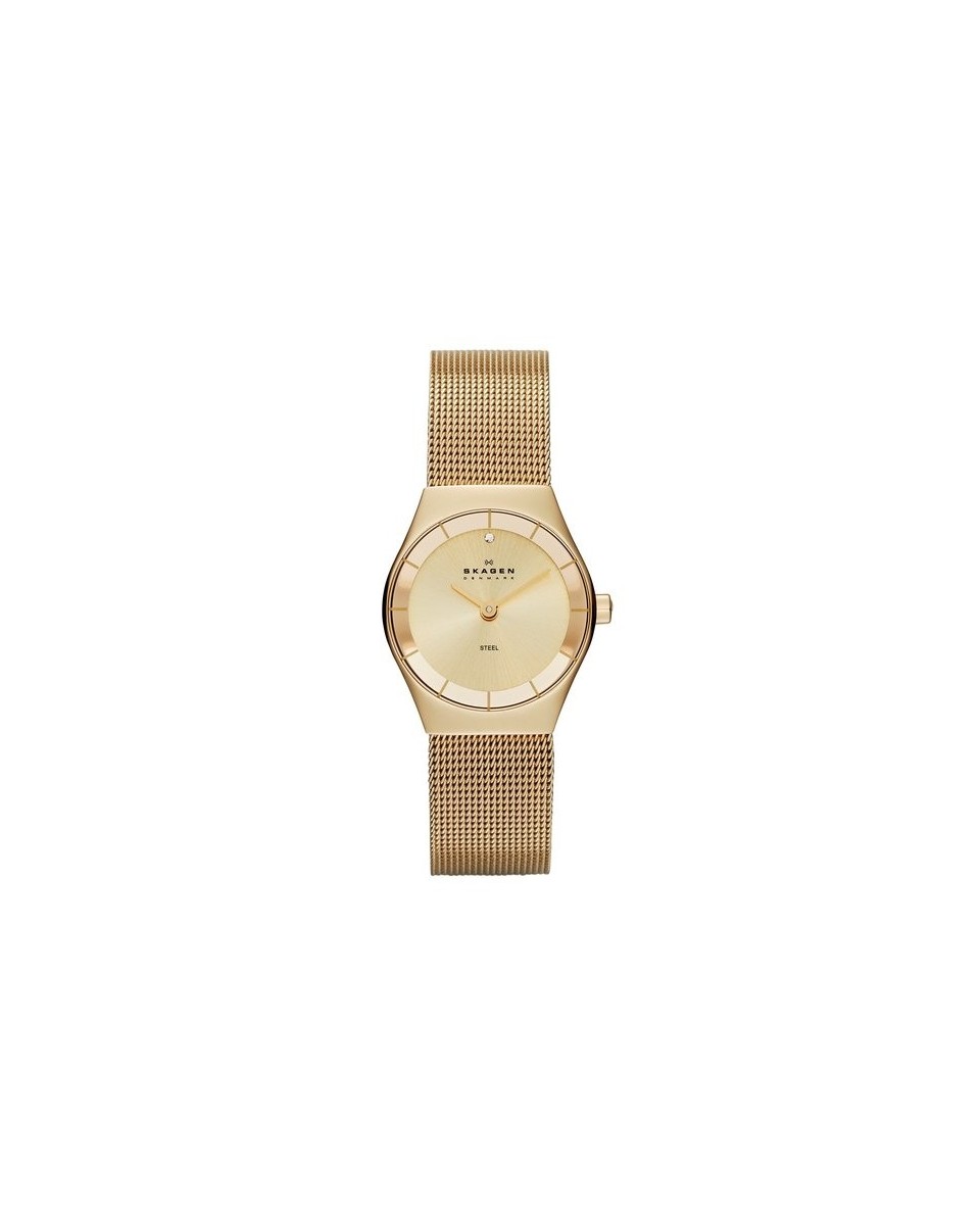 Skagen SKW2045 Bracelete do Relogio Skagen KLASSIC SKW2045