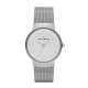 Skagen SKW2075 Armbander für Uhr Skagen KLASSIC SKW2075