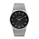 Skagen SKW6019 ремешок для часы Skagen KLASSIC SKW6019