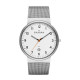 Skagen SKW6025 Bracelete do Relogio Skagen KLASSIC SKW6025