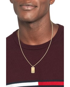 Collier Tommy Hilfiger 2790484 - TicTacArea.com