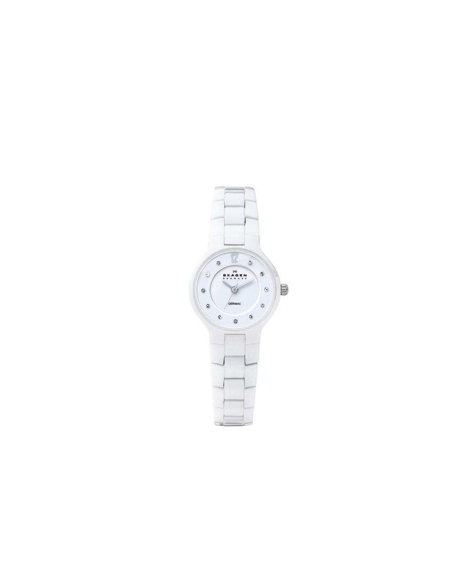 Skagen 572SSXWC Bracelet pour Montre Skagen PERSPEKTIV 572SSXWC