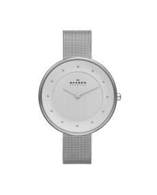 Skagen SKW2140 Armbander für Uhr Skagen KLASSIC SKW2140