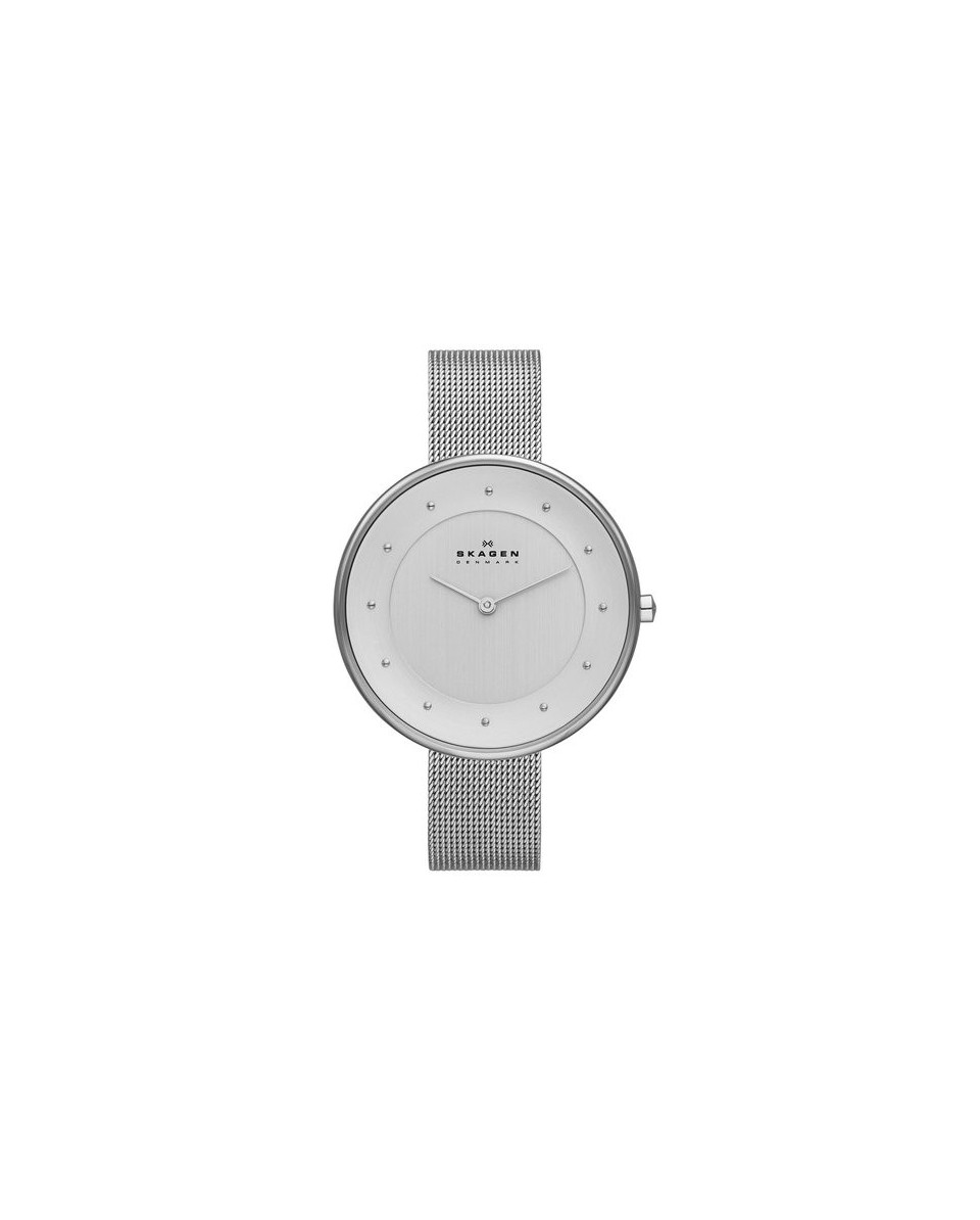 Skagen SKW2140 ремешок для часы Skagen KLASSIC SKW2140