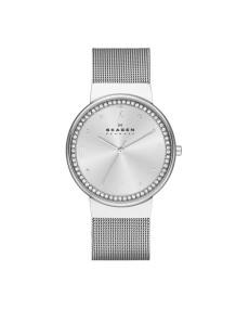 Skagen SKW2152 Bracelet pour Montre Skagen KLASSIC SKW2152