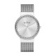 Skagen SKW2152 Bracelete do Relogio Skagen KLASSIC SKW2152