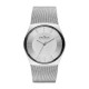 Skagen SKW6067 Armbander für Uhr Skagen KLASSIC SKW6067