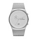 Skagen SKW6071 Armbander für Uhr Skagen KLASSIC SKW6071