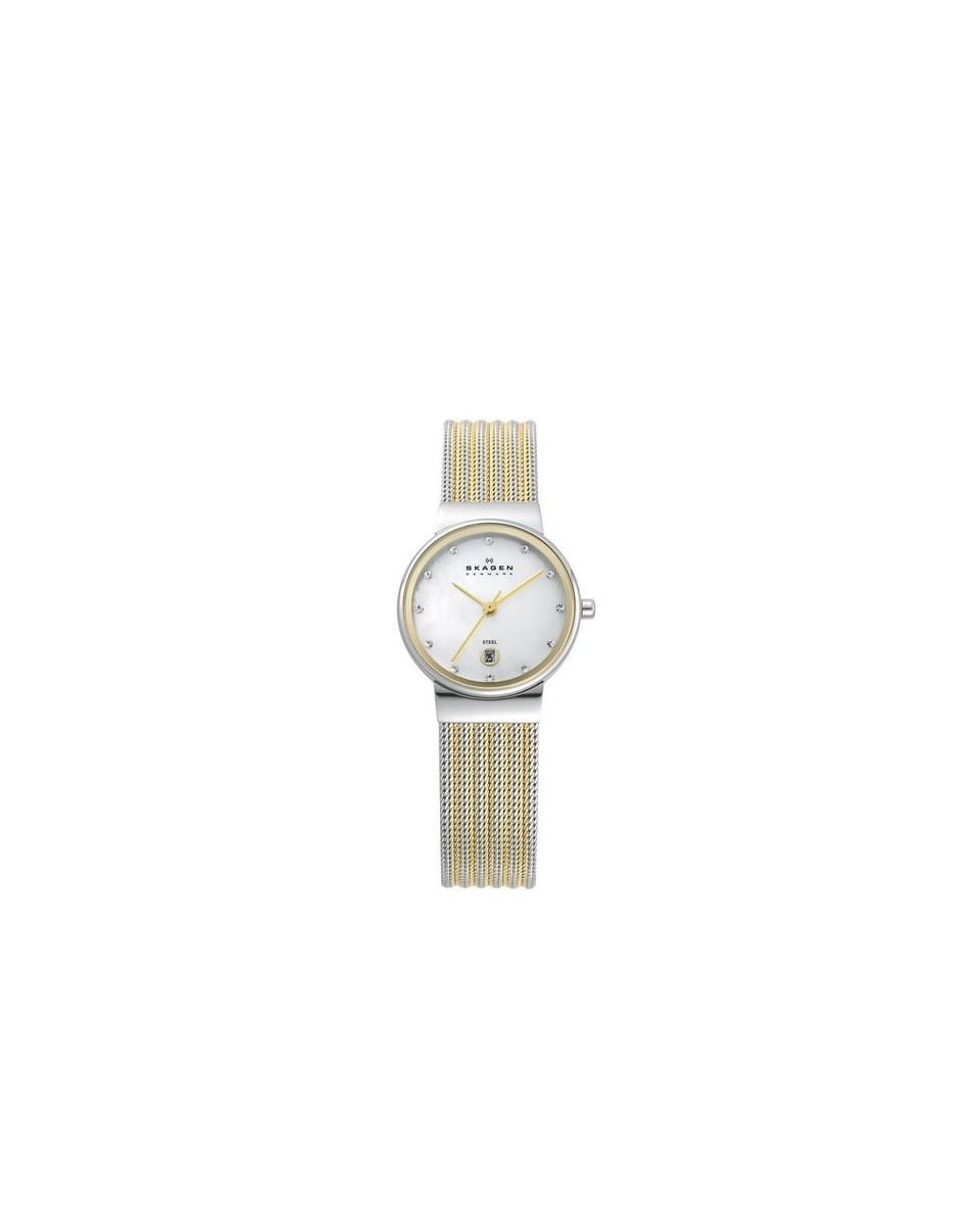 Skagen 355SSGS Armbander für Uhr Skagen KLASSIC 355SSGS