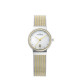 Skagen 355SSGS Bracelet pour Montre Skagen KLASSIC 355SSGS