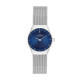 Skagen SKW2178 Bracelet pour Montre Skagen KLASSIC SKW2178