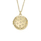 Fossil Necklace STAINLESS STEEL JF04428710 - TicTacArea