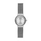 Skagen SKW2184 Bracelet pour Montre Skagen KLASSIC SKW2184