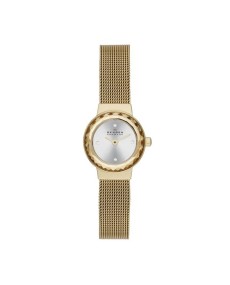 Skagen SKW2186 Bracelet pour Montre Skagen KLASSIC SKW2186