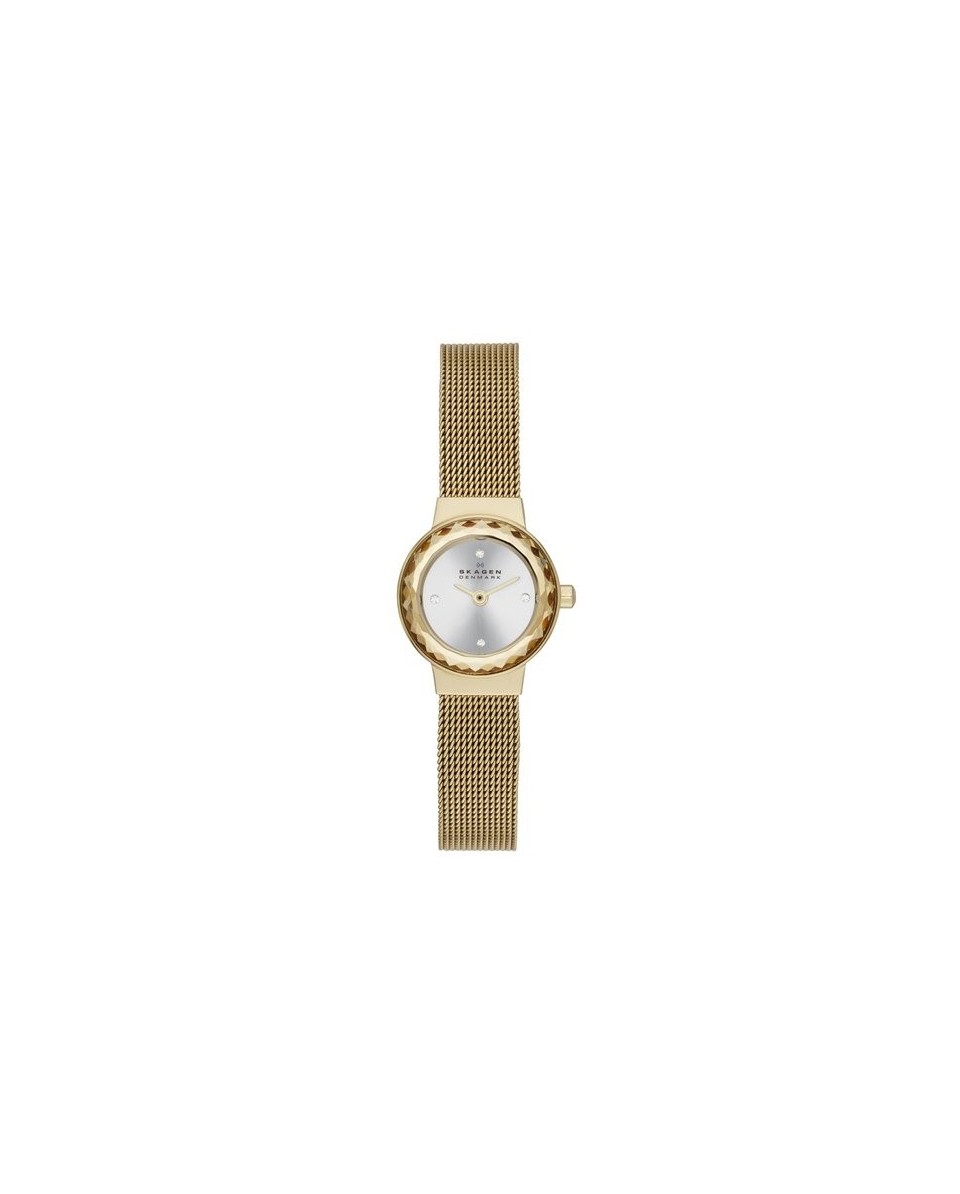 Skagen SKW2186 Bracelet pour Montre Skagen KLASSIC SKW2186