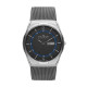 Skagen SKW6078 Bracelet pour Montre Skagen AKTIV SKW6078