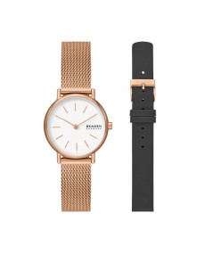 Skagen Stainless Steel SKW1153SET Watch - TicTacArea