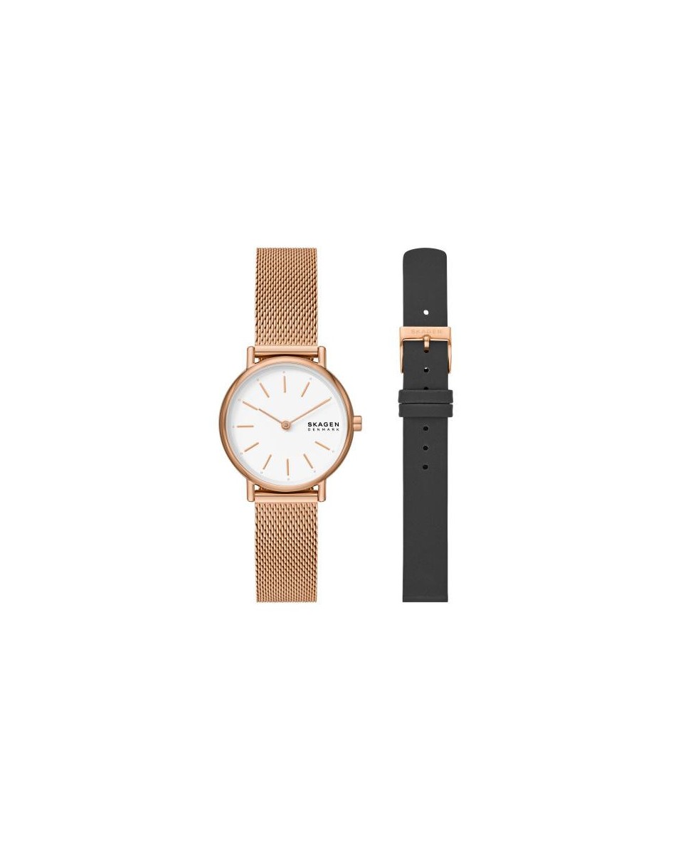 Skagen Stainless Steel SKW1153SET Watch - TicTacArea