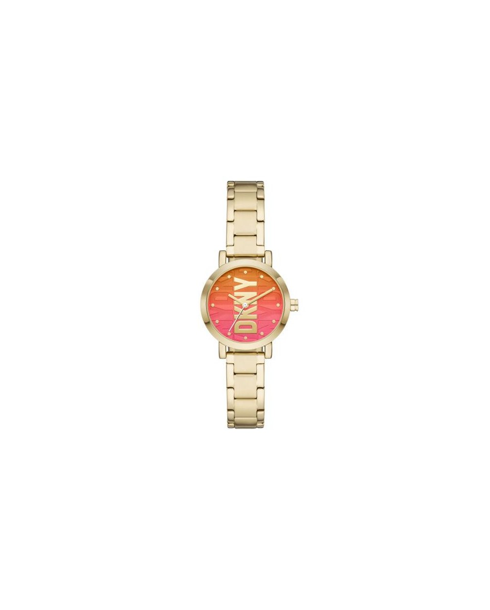 Watch DKNY STAINLESS STEEL NY6660