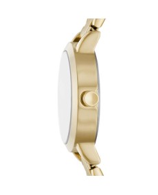 Watch DKNY STAINLESS STEEL NY6660