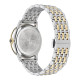 Versace ICONIC MEDUSA ALCHEMY VE6F00423: lusso senza tempo