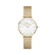 Daniel Wellington PETITE LUMINE DW00100594 - TicTacArea