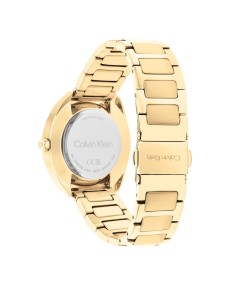 Comprar Calvin Klein CK Adorn 25200276 