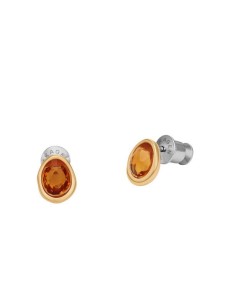 Skagen Earring STAINLESS STEEL SKJ1739710 - TicTacArea