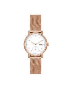 Relógio Skagen SKW3099: Elegância em Aço Inoxidável