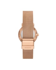 Skagen Stainless Steel Mesh SKW3099 Watch