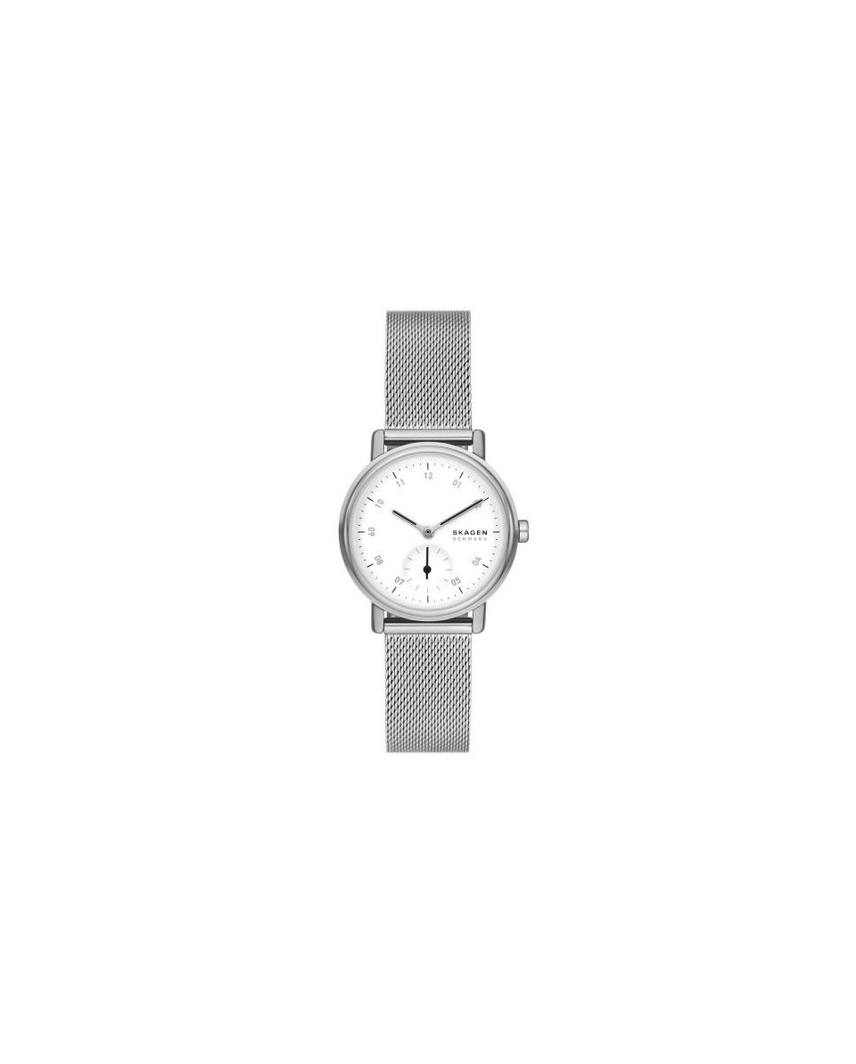 часы Skagen STAINLESS STEEL MESH SKW3100