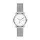 часы Skagen STAINLESS STEEL MESH SKW3100