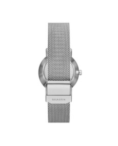 часы Skagen STAINLESS STEEL MESH SKW3100