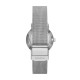 часы Skagen STAINLESS STEEL MESH SKW3100