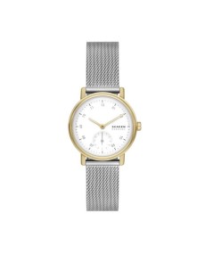 Skagen Stainless Steel Mesh SKW3101 Watch