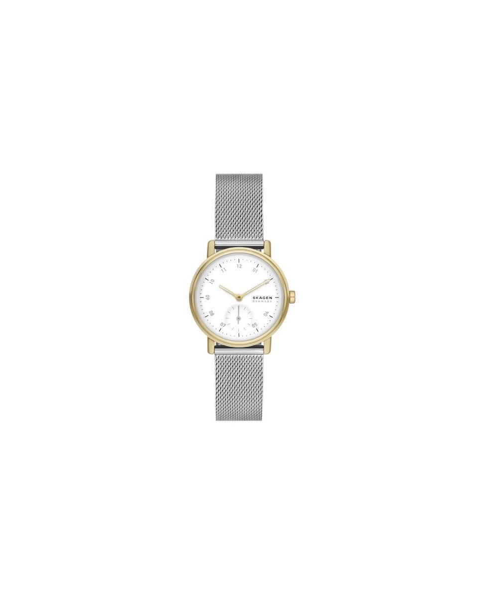 Skagen Stainless Steel Mesh SKW3101 Watch