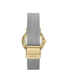 Skagen Stainless Steel Mesh SKW3101 Watch