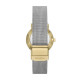 Skagen Stainless Steel Mesh SKW3101 Watch