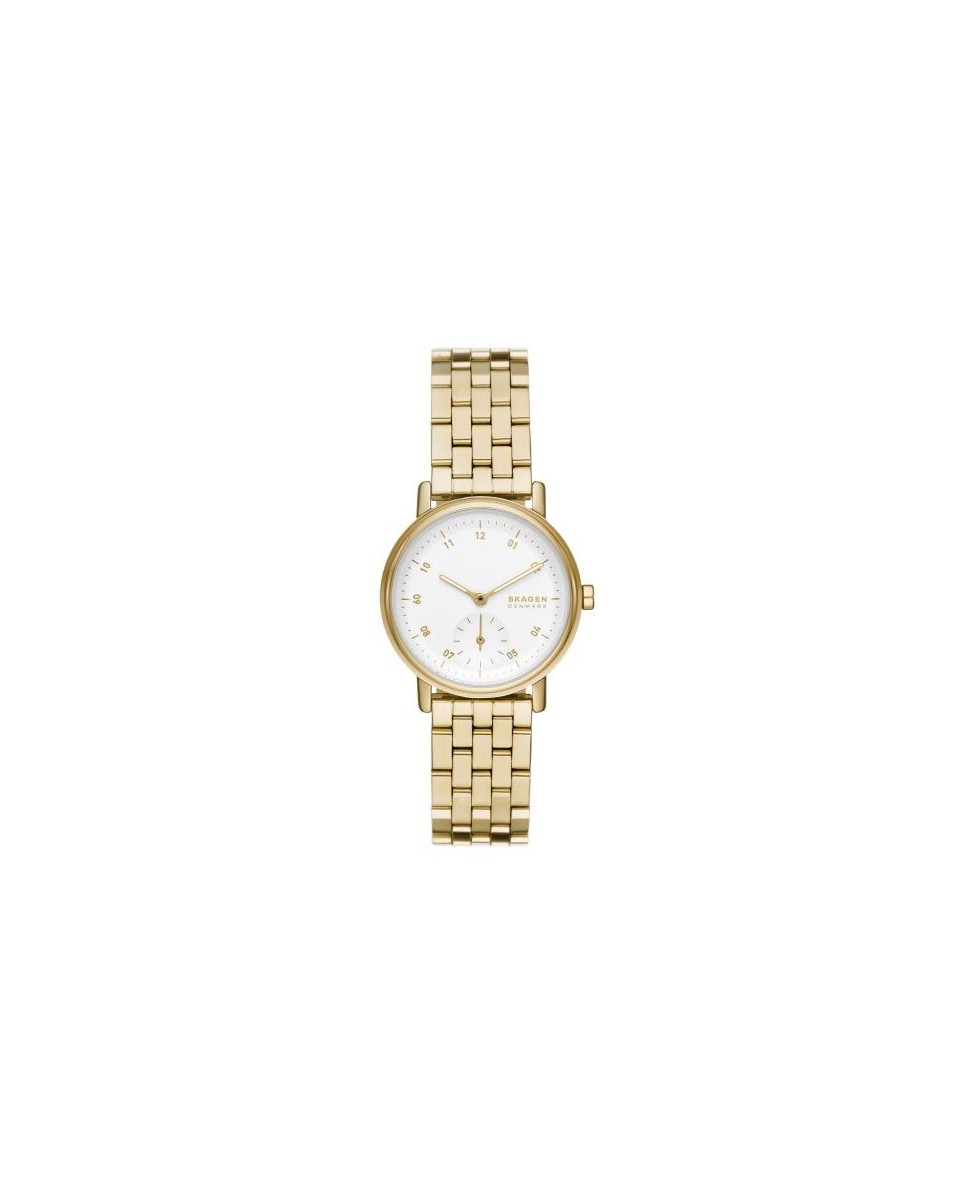 Reloj Skagen STAINLESS STEEL SKW3102 - TicTacArea