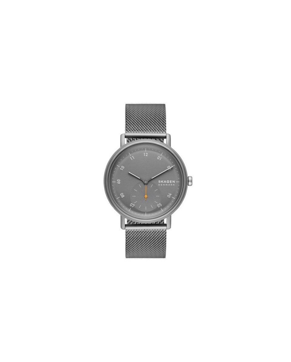 Skagen Stainless Steel SKW6891 Watch - TicTacArea