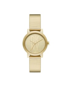 Watch DKNY STAINLESS STEEL NY6670